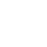 texas white icon