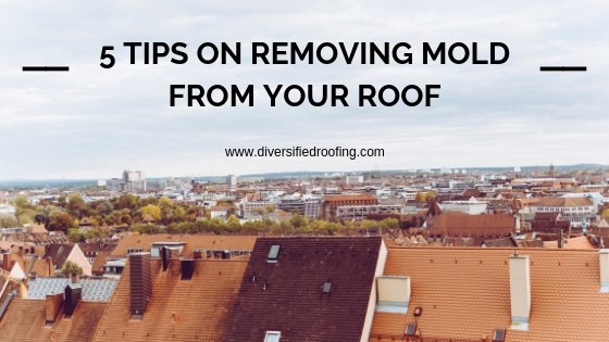 5 Tips on Removing Mold from Your Roof | CHOICE APPAREL 3