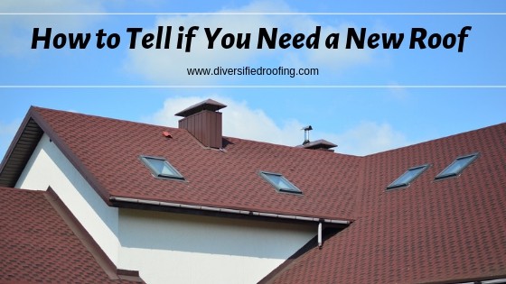 How to Tell if You Need a New Roof 1