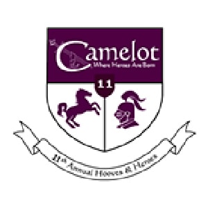 Diversified Roofing | Camelot logo